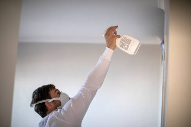 Best Mold Inspection  in Huntington, TX