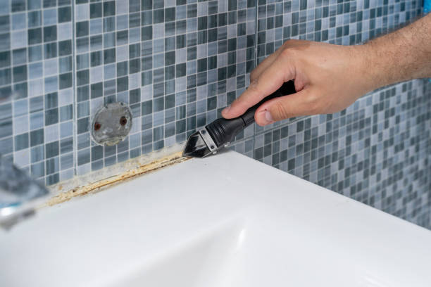 Office Mold Removal Services in Huntington, TX
