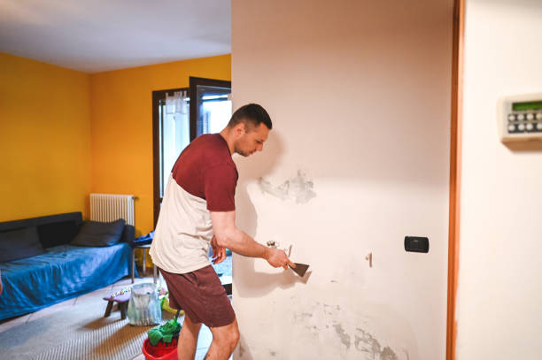 Certified Mold Removal in Huntington, TX